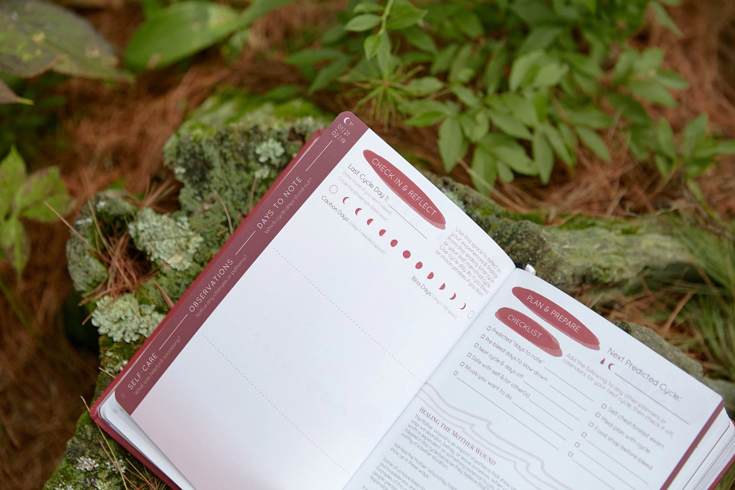 Cycles Journal® 2025: a Lunar Guide to Wholistic Cycle Awareness